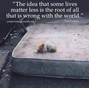 FB_IMG_1614388257133.jpg