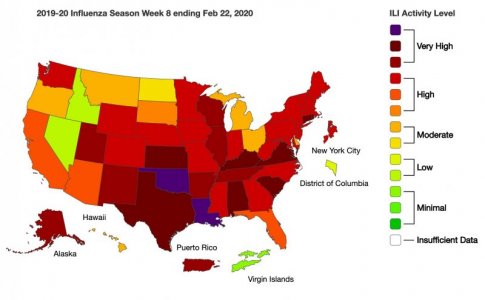 Screen Shot 2021-02-27 at 10.40.43 AM copy.jpg