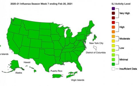 Screen Shot 2021-02-27 at 10.41.13 AM copy.jpg