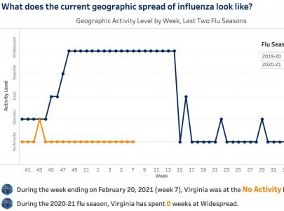 Screen Shot 2021-02-27 at 10.43.59 AM copy.jpg