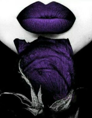 33e7b8fae3f5221102c9f4d3d61fdd4d--purple-and-black-purple-lips.jpg