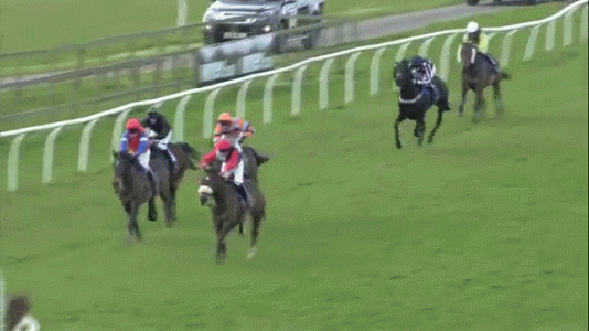 rider1.gif rider1.gif