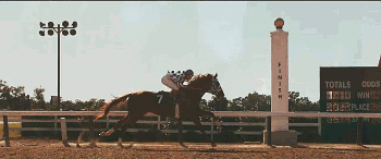 b8f0ae73b9fd5633480bd7d7f1f6bdd1.gif b8f0ae73b9fd5633480bd7d7f1f6bdd1.gif