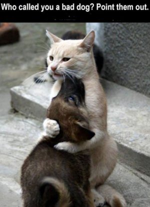 Protecting @.jpg