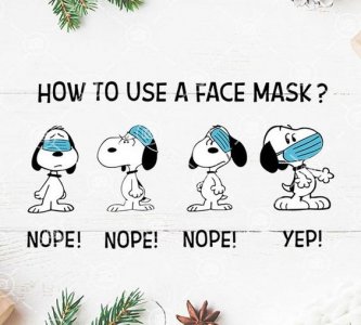 321f22b497df2ccf31f858683ea1924f[1].jpg