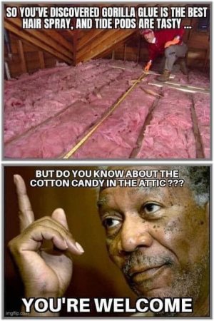 97168E2C-A0B4-4BB8-BB79-346B2B6B0C1E.jpeg