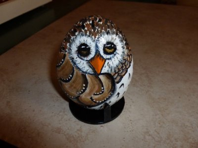 owl (2).JPG
