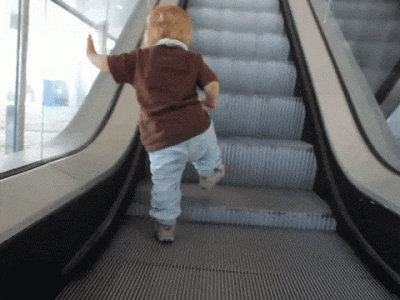 giphy-downsized-large.gif
