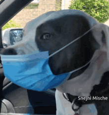 tenor (16).gif