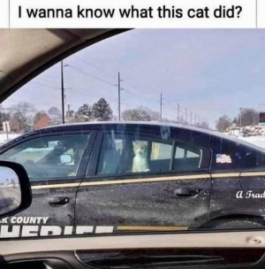 FB_IMG_1614388239038.jpg
