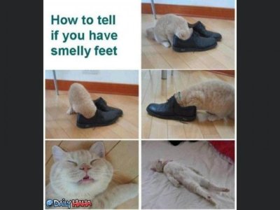 smellyfeet.jpg