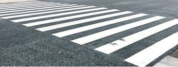 zebra.jpg