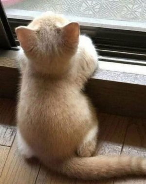 92c349ad655d3cd58ba10dd3f9cac6c4[1].jpg