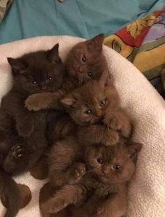 9abe43600b473a9540ab933f3f6995b8[1].jpg