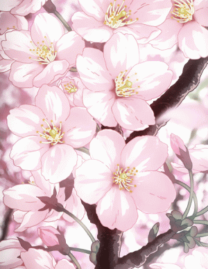 tumblr_0415cf101742c085b0039811e2b15116_c05a5584_540.gif