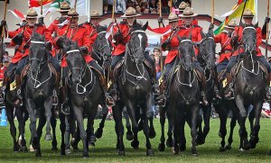 rcmp.jpg