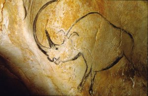Rhinocéros_grotte_Chauvet.jpg