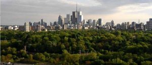 Torontos-Urban-Forest1.jpeg