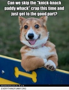 dog funnies stop the knick knack.jpg