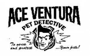 ace-ventura-pet-detective-to-serve-and-protectyour-pets-74614044.jpg