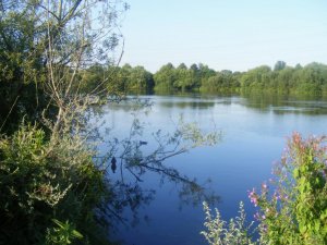DSCF5158.jpg
