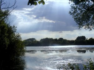 DSCF5133.jpg