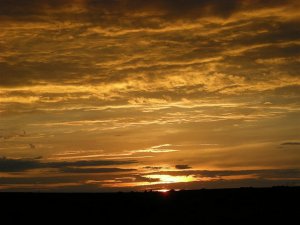 2432908165_0aeb801fe5_z.jpg
