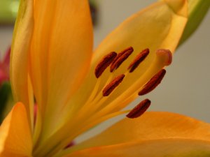 3379055767_f47fe8d614_b.jpg