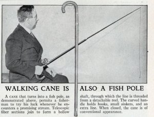 fishing_pole_cane.jpg