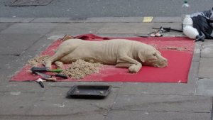 Sand Dog.JPG