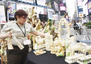 us-crushes-ton-of-ivory-in-new-york-s-times-square-1434829722-9912.jpg