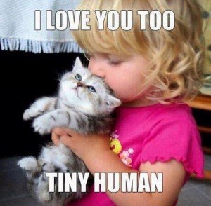 cats I Love You Too.jpg