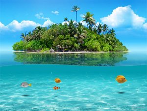 Island.jpg