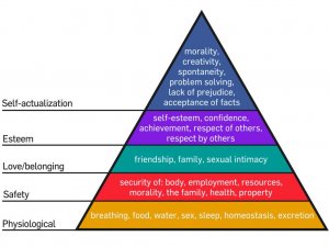 2000px-Maslow's_Hierarchy_of_Needs.svg.jpg