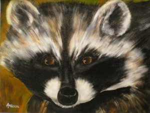 Racoon 01.jpg