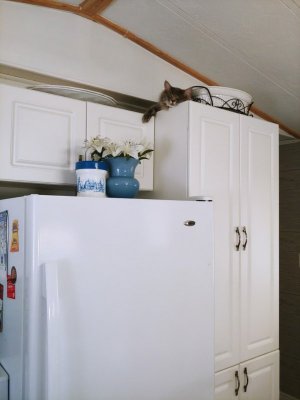 thumbnail_20210303_111630.jpg