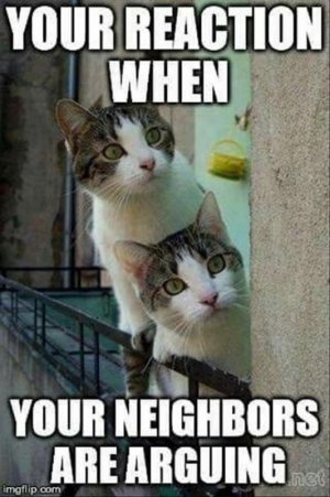 a537cc215bd3bc26cea99b5a37b4d2f4[1].jpg