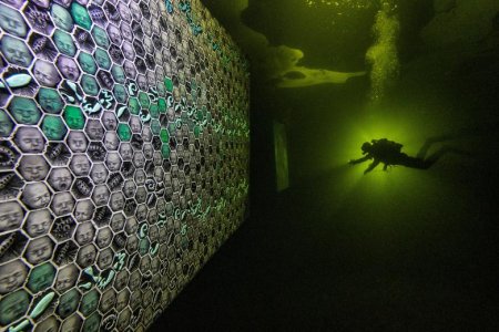 diver.jpg