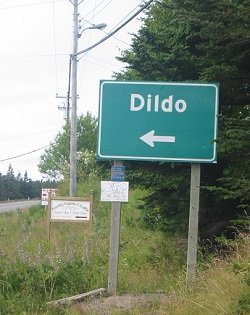 DildoNewfoundland.jpg