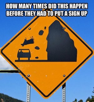 watch-out-for-falling-cows.jpg