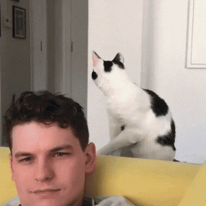EcstaticRelievedHuman-size_restricted.gif