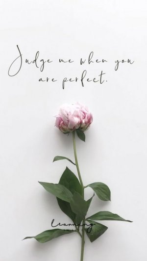 Perfect copy.jpg