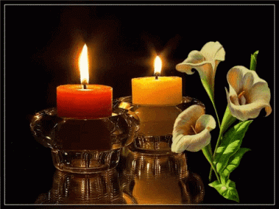62ff272939f39ccc8c5fbee36410ec2d.gif