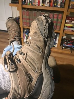 shoe goo consumers.jpg