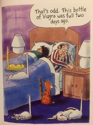 FB_IMG_1615262061781.jpg