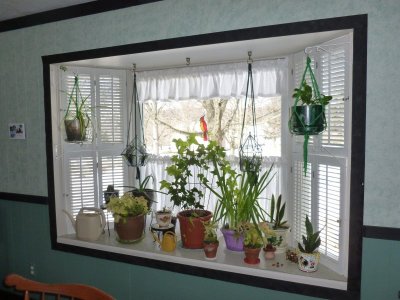 bay window.JPG bay window.JPG