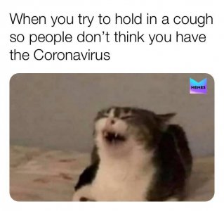 coronavirus-memes.jpg