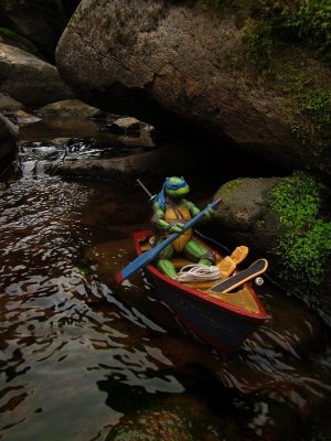 Leonardo canoeing.jpg