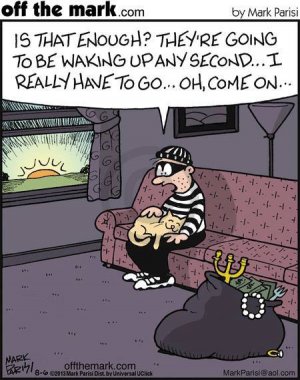 burgler.jpg