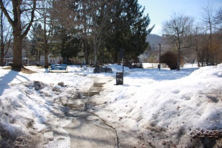 snowcovered.JPG